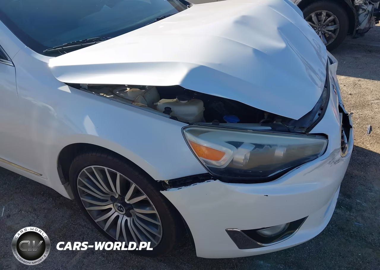 2015 Kia Cadenza Premium VIN:KNALN4D70F5168517 - 22