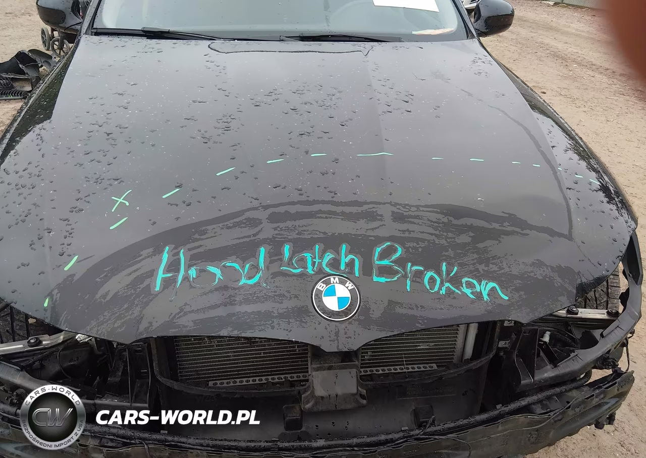 2010 BMW 335I xDrive VIN:WBAPL3C57AA408115 - 10
