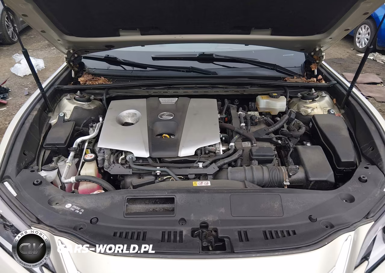 2019 Lexus Es 300H Luxury VIN:JTHB21B11K2001260 - 10