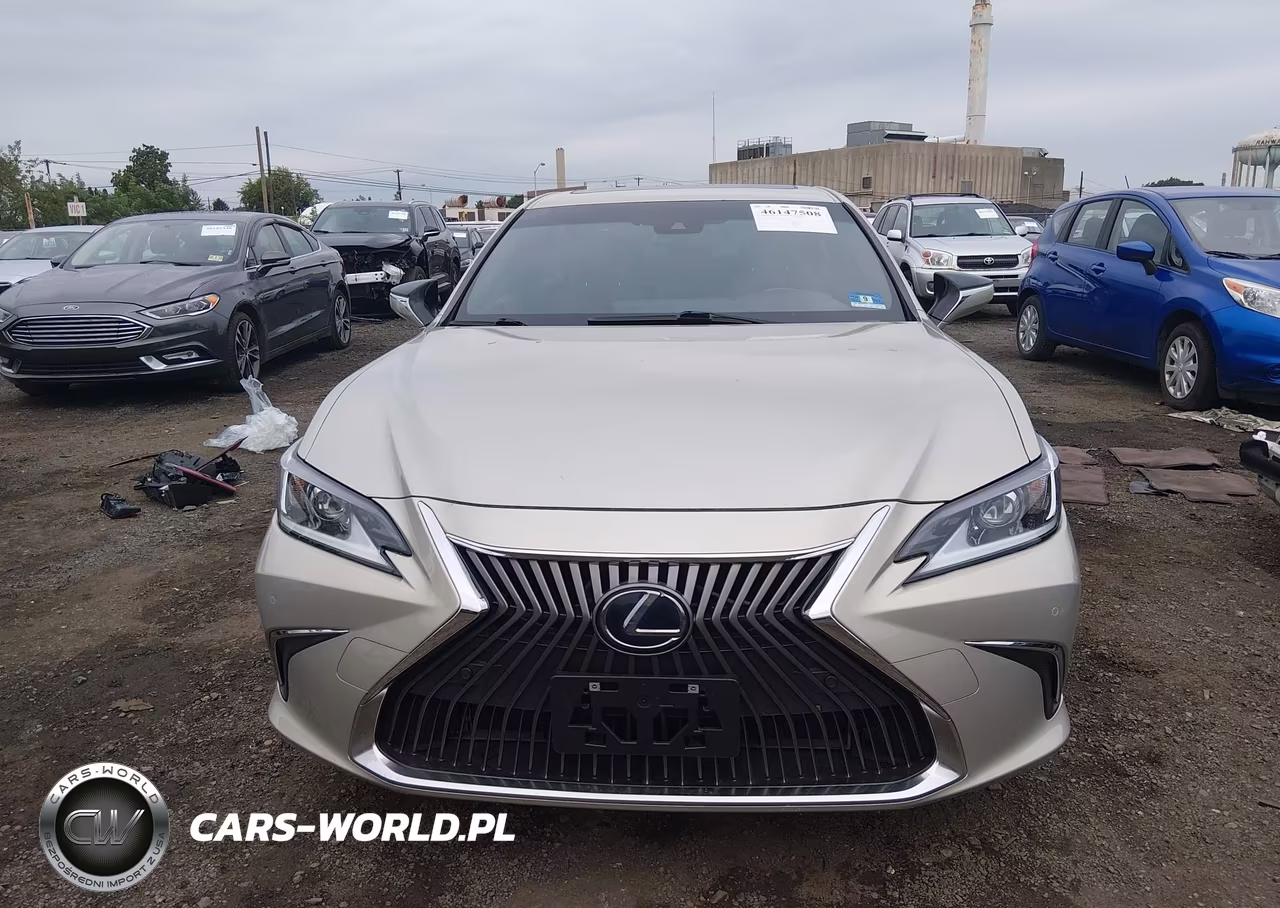 2019 Lexus Es 300H Luxury VIN:JTHB21B11K2001260 - 12