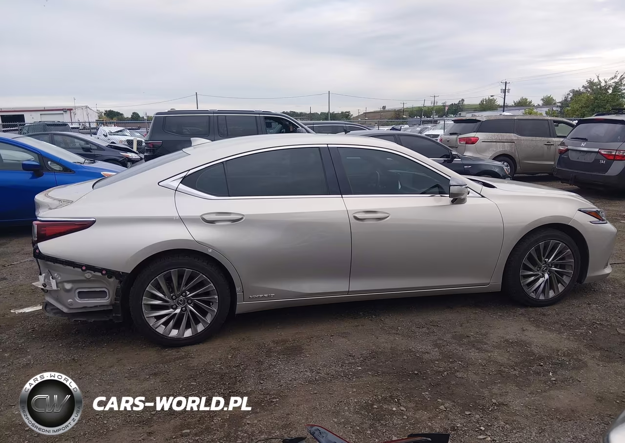 2019 Lexus Es 300H Luxury VIN:JTHB21B11K2001260 - 13