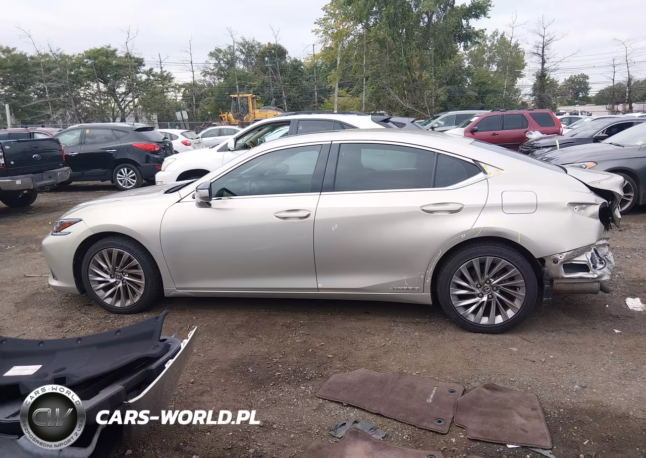 2019 Lexus Es 300H Luxury VIN:JTHB21B11K2001260 - 14