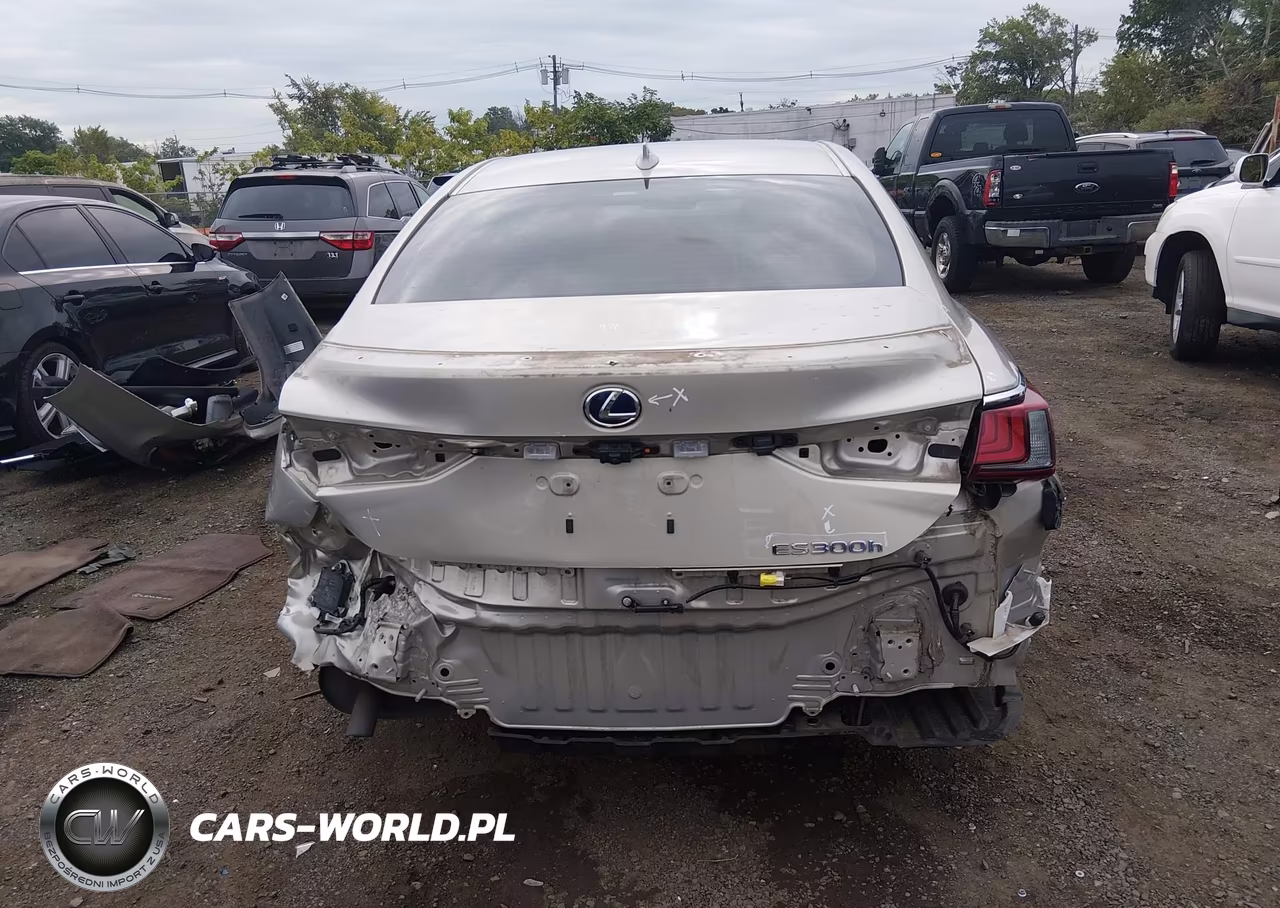 2019 Lexus Es 300H Luxury VIN:JTHB21B11K2001260 - 16