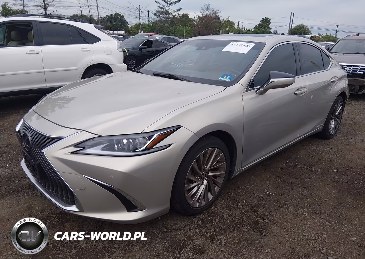 2019 Lexus Es 300H Luxury VIN:JTHB21B11K2001260 - 2