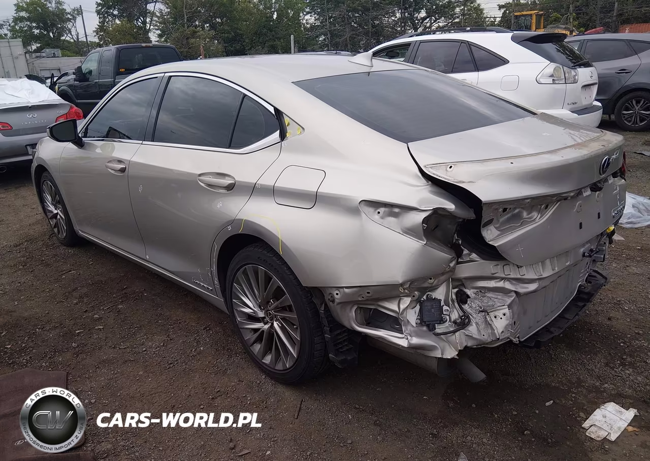 2019 Lexus Es 300H Luxury VIN:JTHB21B11K2001260 - 3