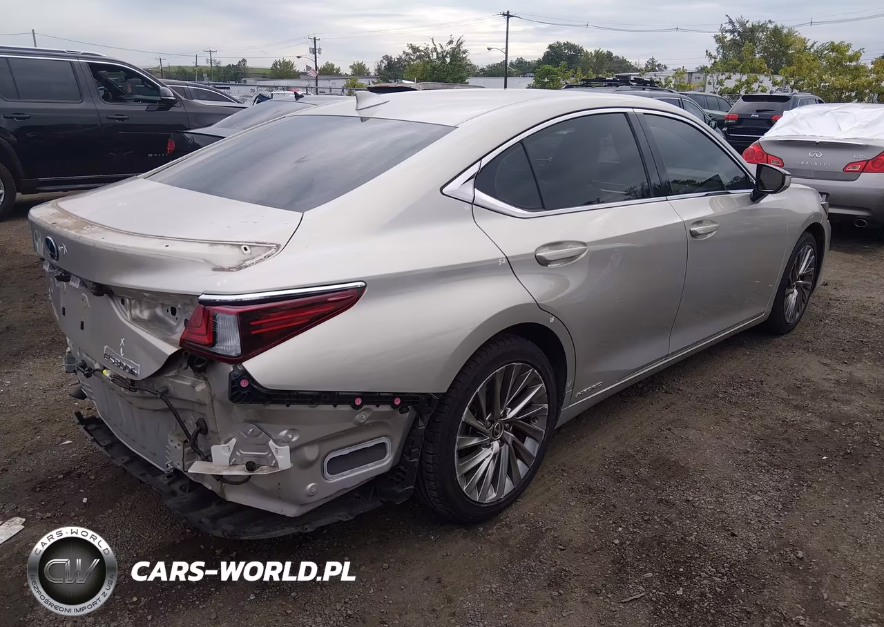 2019 Lexus Es 300H Luxury VIN:JTHB21B11K2001260 - 4