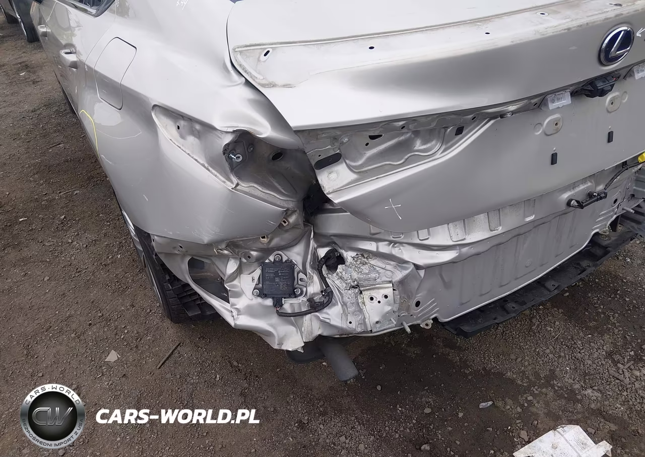 2019 Lexus Es 300H Luxury VIN:JTHB21B11K2001260 - 6