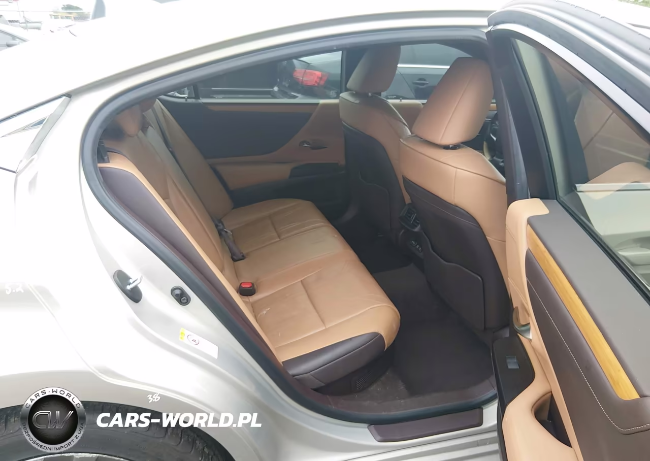 2019 Lexus Es 300H Luxury VIN:JTHB21B11K2001260 - 8