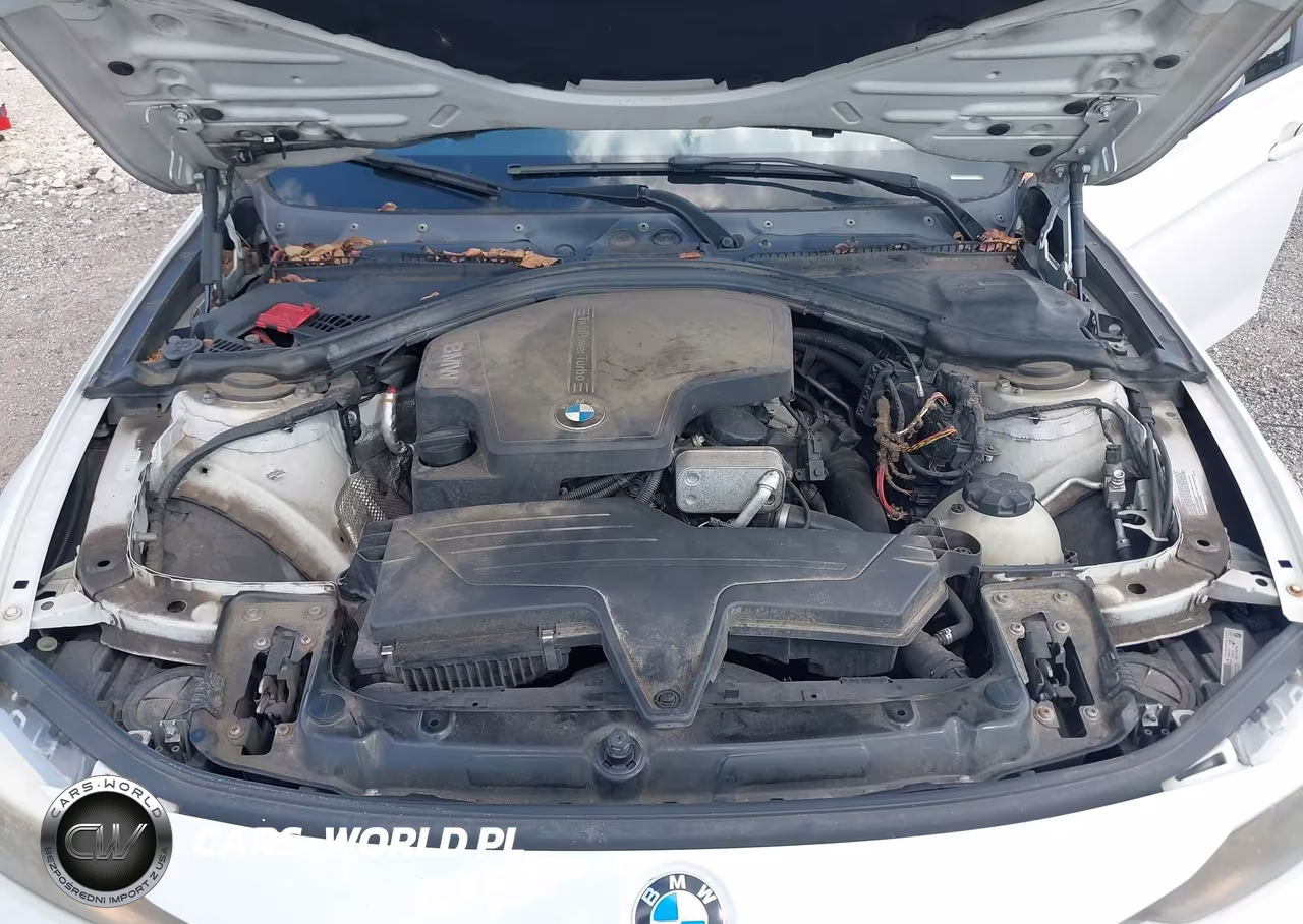 2014 BMW 320I xDrive VIN:WBA3C3G52ENR25183 - 10