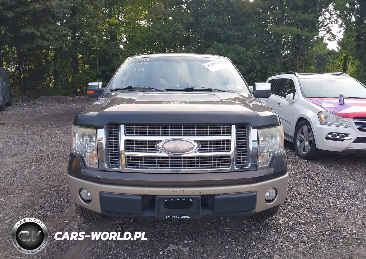 2009 Ford F-150 King Ranch-Lariat-Platinum-Xl-Xlt VIN:1FTPW12V29KB74665 - 12