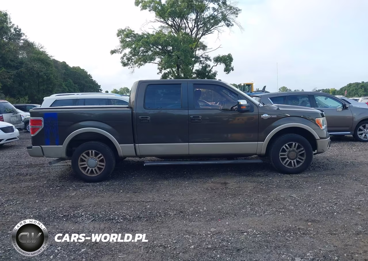 2009 Ford F-150 King Ranch-Lariat-Platinum-Xl-Xlt VIN:1FTPW12V29KB74665 - 13