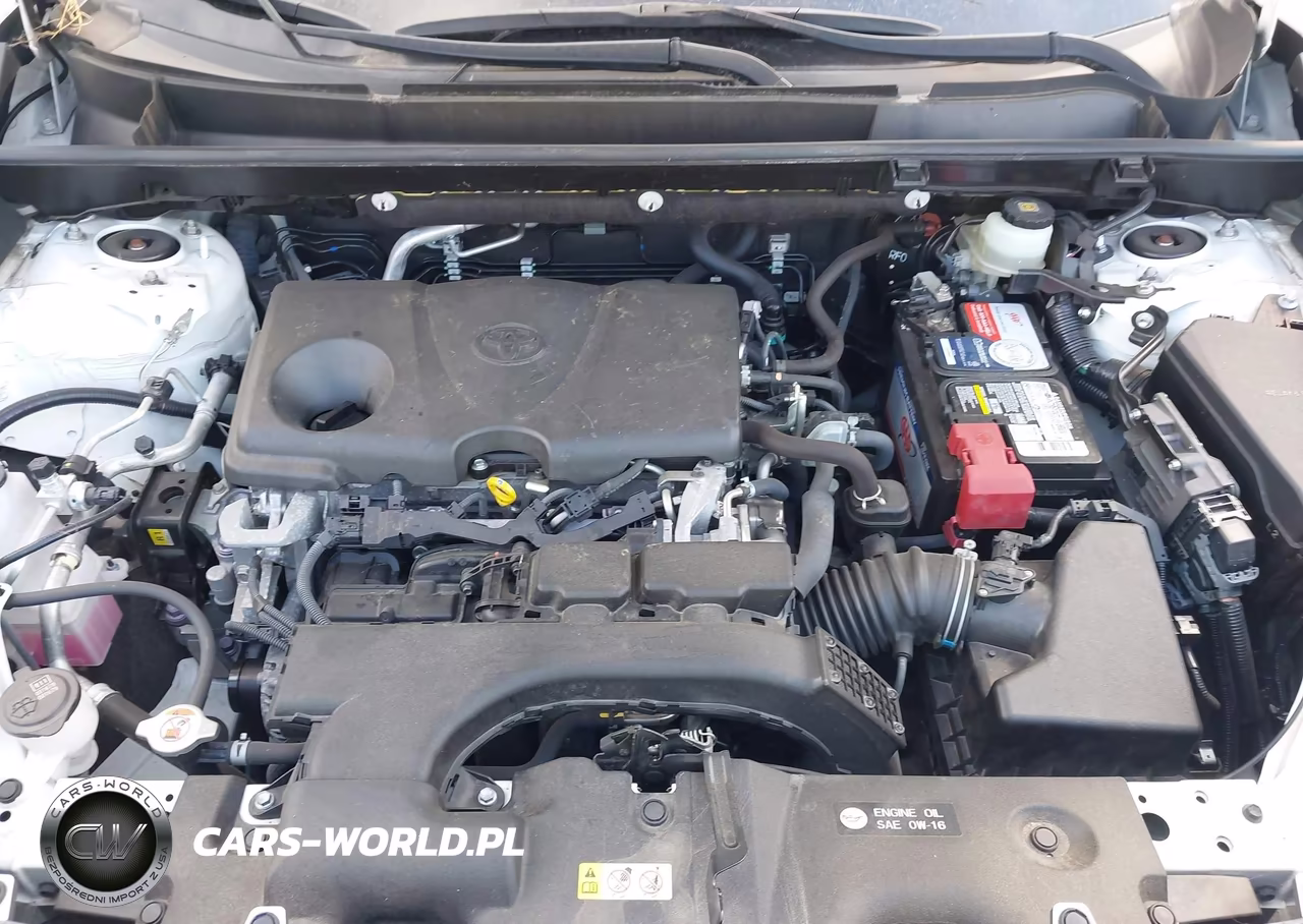 2019 Toyota Rav4 Le VIN:JTMG1RFV1KD007912 - 10