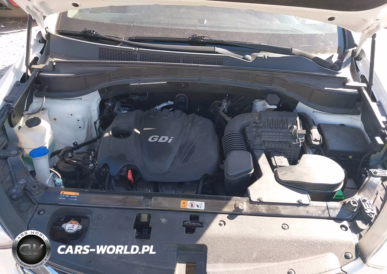 2014 Hyundai Santa Fe Sport 2.4L VIN:5XYZUDLB1EG141788 - 10