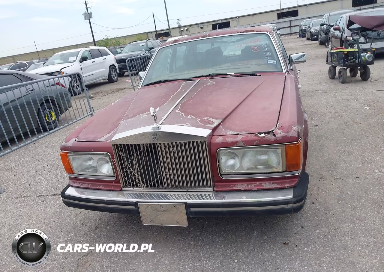 1986 Rolls-Royce Silver Spur VIN:SCAZN42A4GCX16048 - 11