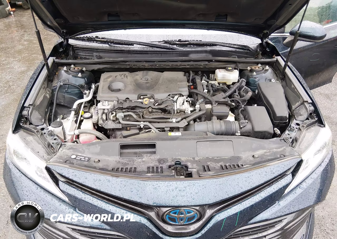 2020 Toyota Camry Le Hybrid VIN:4T1C31AK4LU546335 - 10