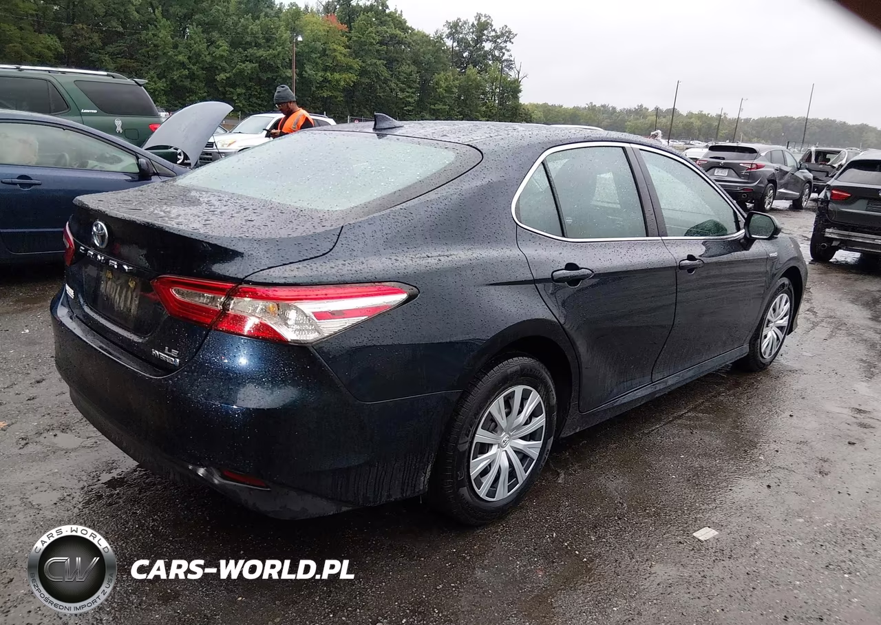 2020 Toyota Camry Le Hybrid VIN:4T1C31AK4LU546335 - 4
