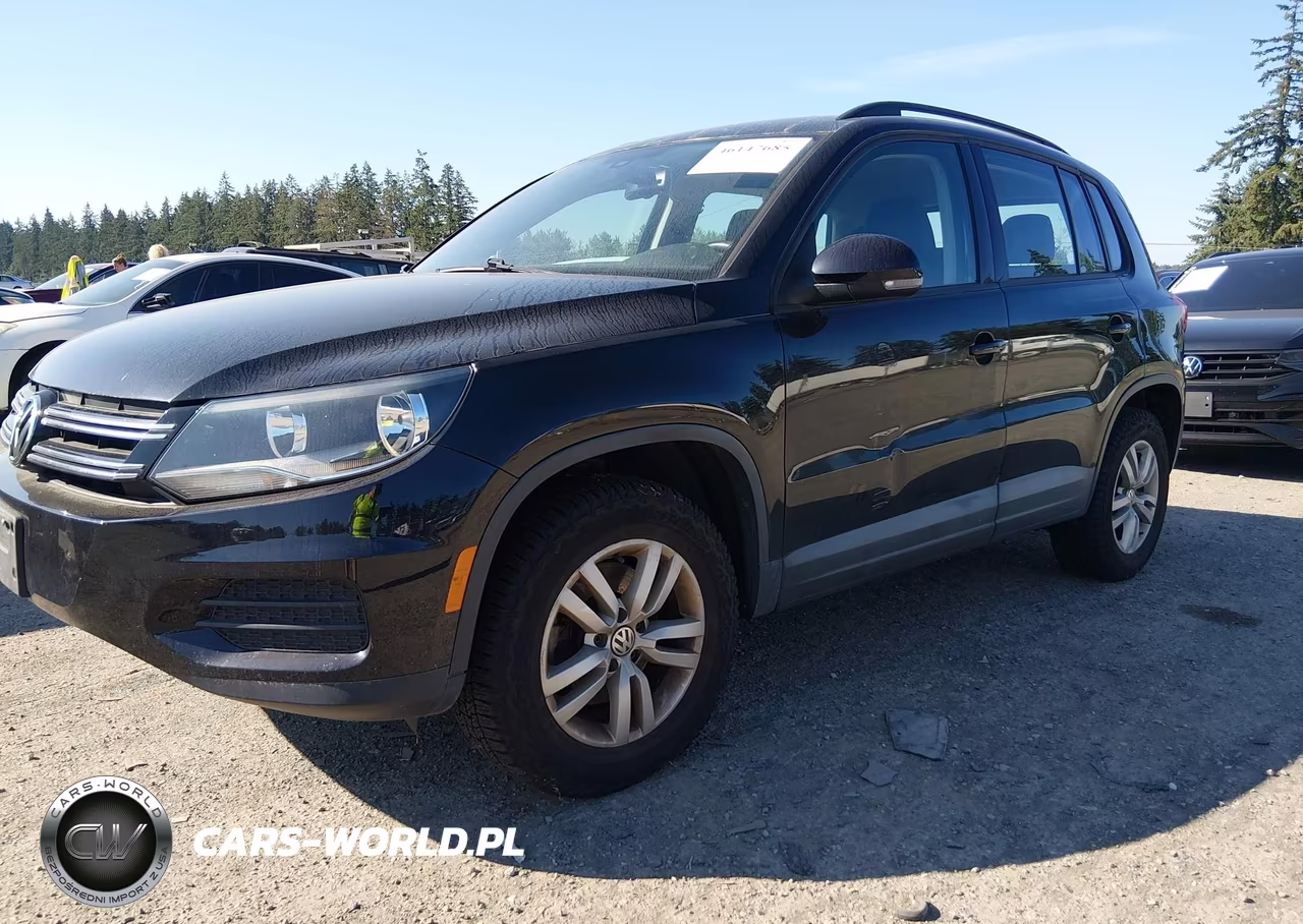 2016 Volkswagen Tiguan S VIN:WVGBV7AX8GW606793 - 2