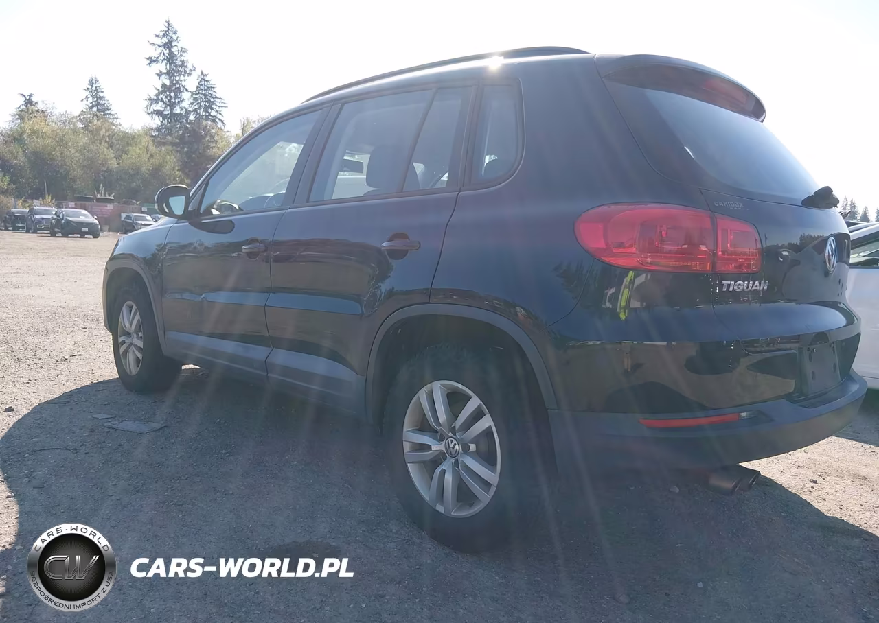 2016 Volkswagen Tiguan S VIN:WVGBV7AX8GW606793 - 3