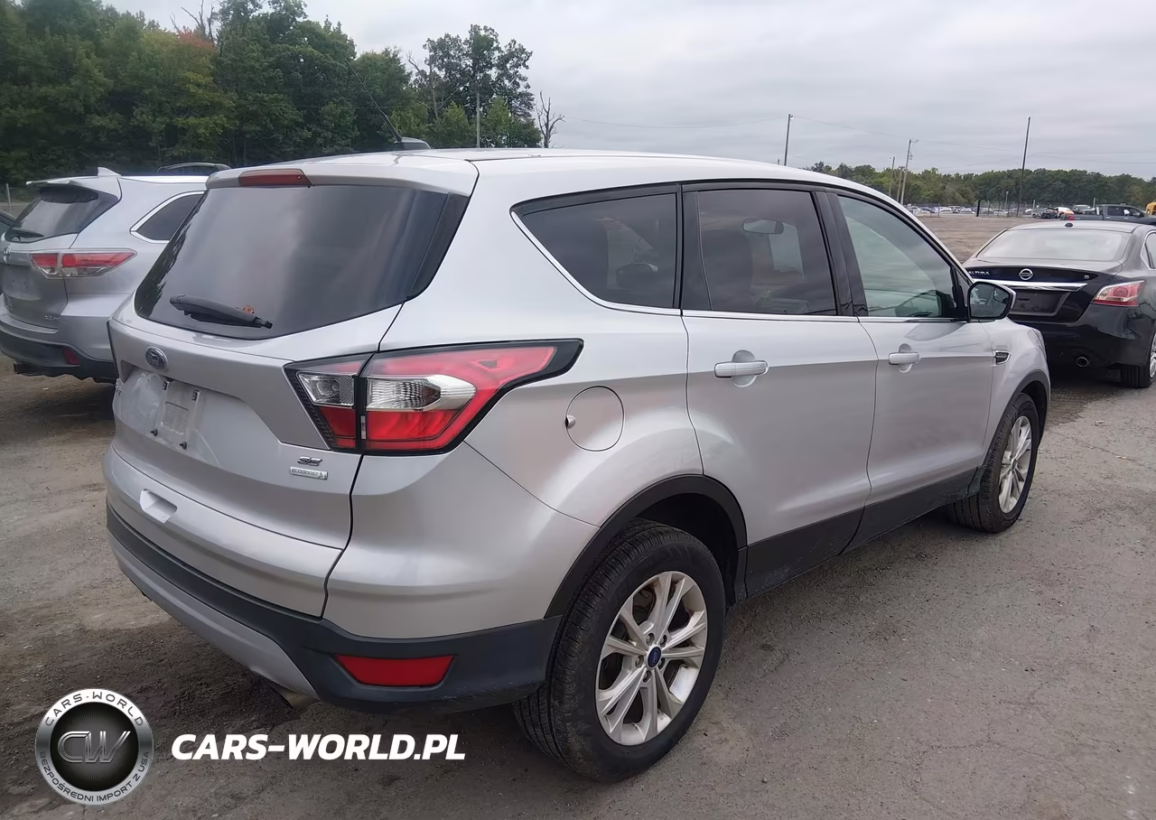 2017 Ford Escape Se VIN:1FMCU0GD3HUD33304 - 4