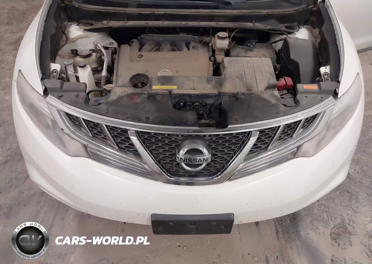2013 Nissan Murano Le VIN:JN8AZ1MW3DW312593 - 10