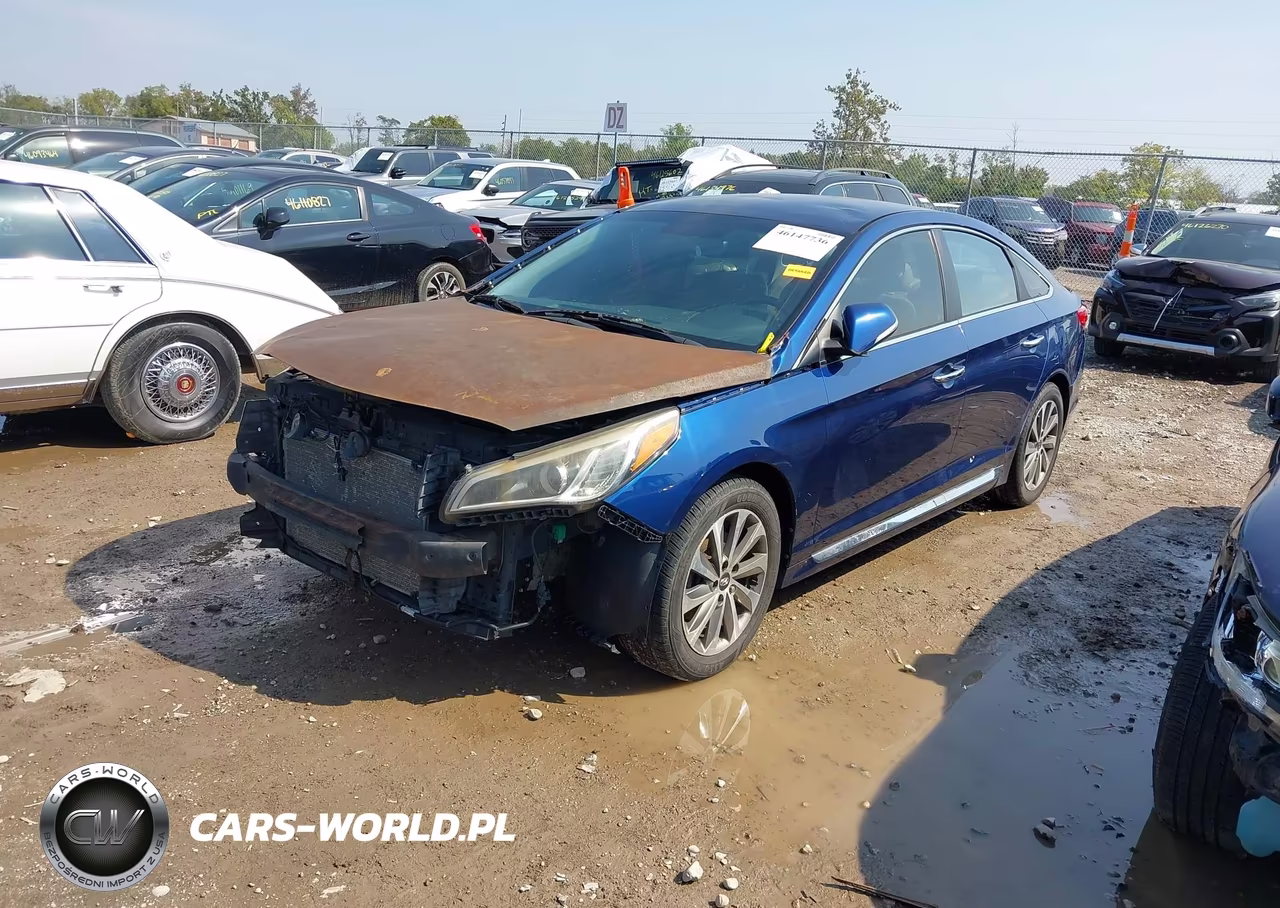 2015 Hyundai Sonata Sport VIN:5NPE34AF9FH116350 - 2