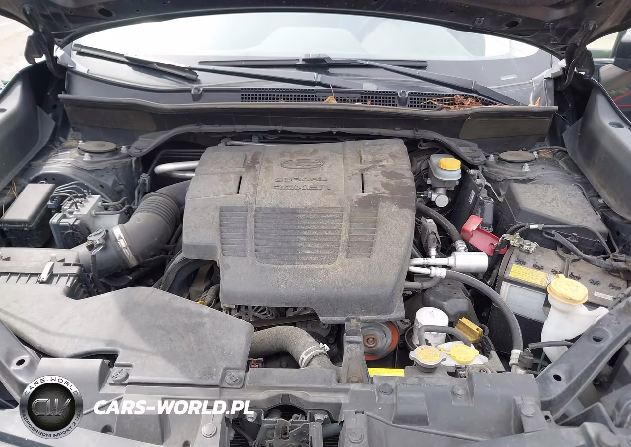2019 Subaru Forester Limited VIN:JF2SKAUC8KH583646 - 10