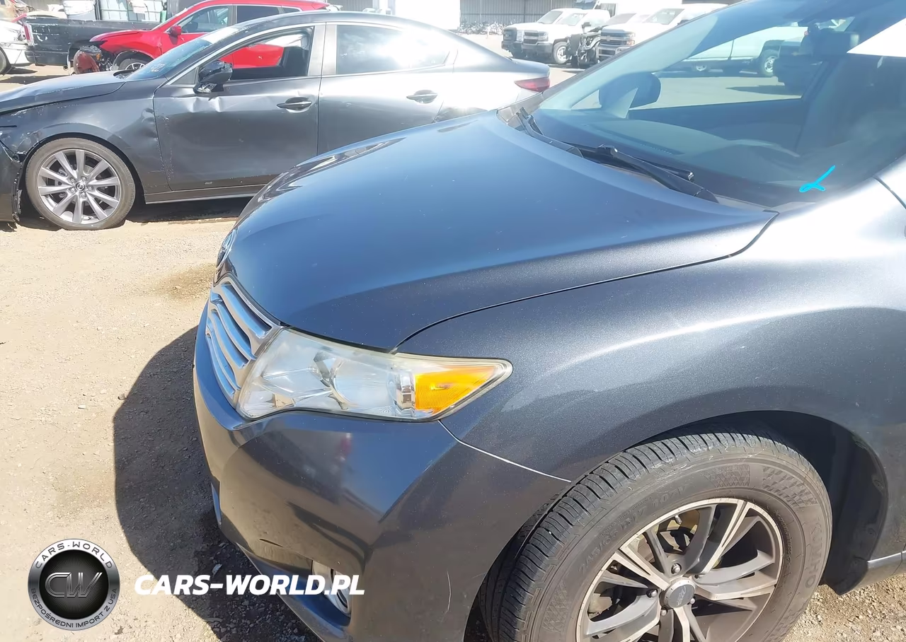 2011 Toyota Venza VIN:4T3ZA3BB3BU049745 - 6