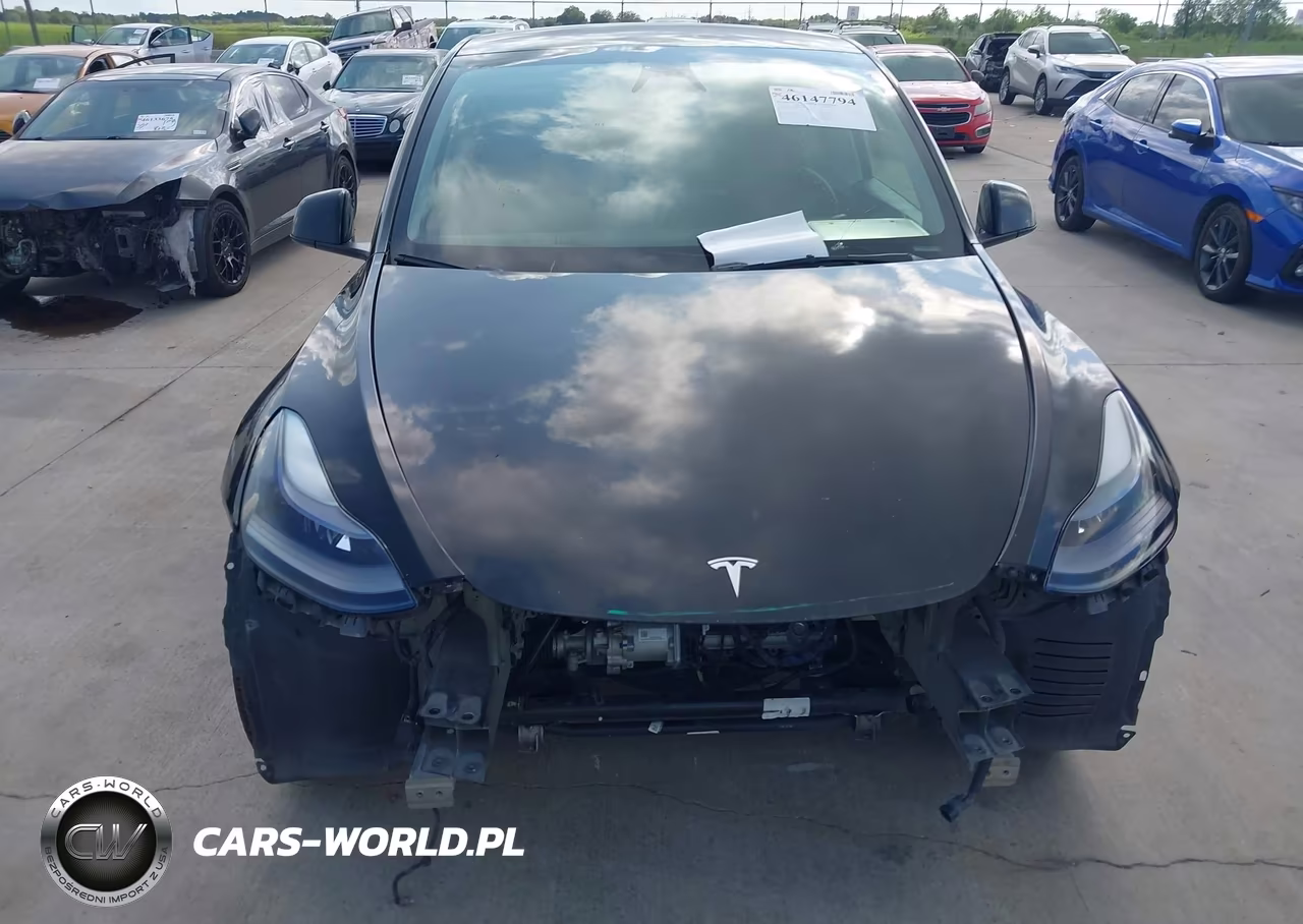 2024 Tesla Model Y Long Range Dual Motor All-Wheel Drive VIN:7SAYGDEE1RA253823 - 11