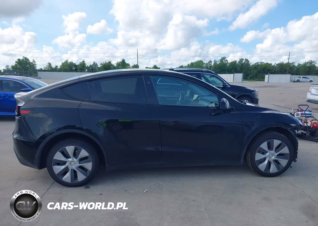 2024 Tesla Model Y Long Range Dual Motor All-Wheel Drive VIN:7SAYGDEE1RA253823 - 12