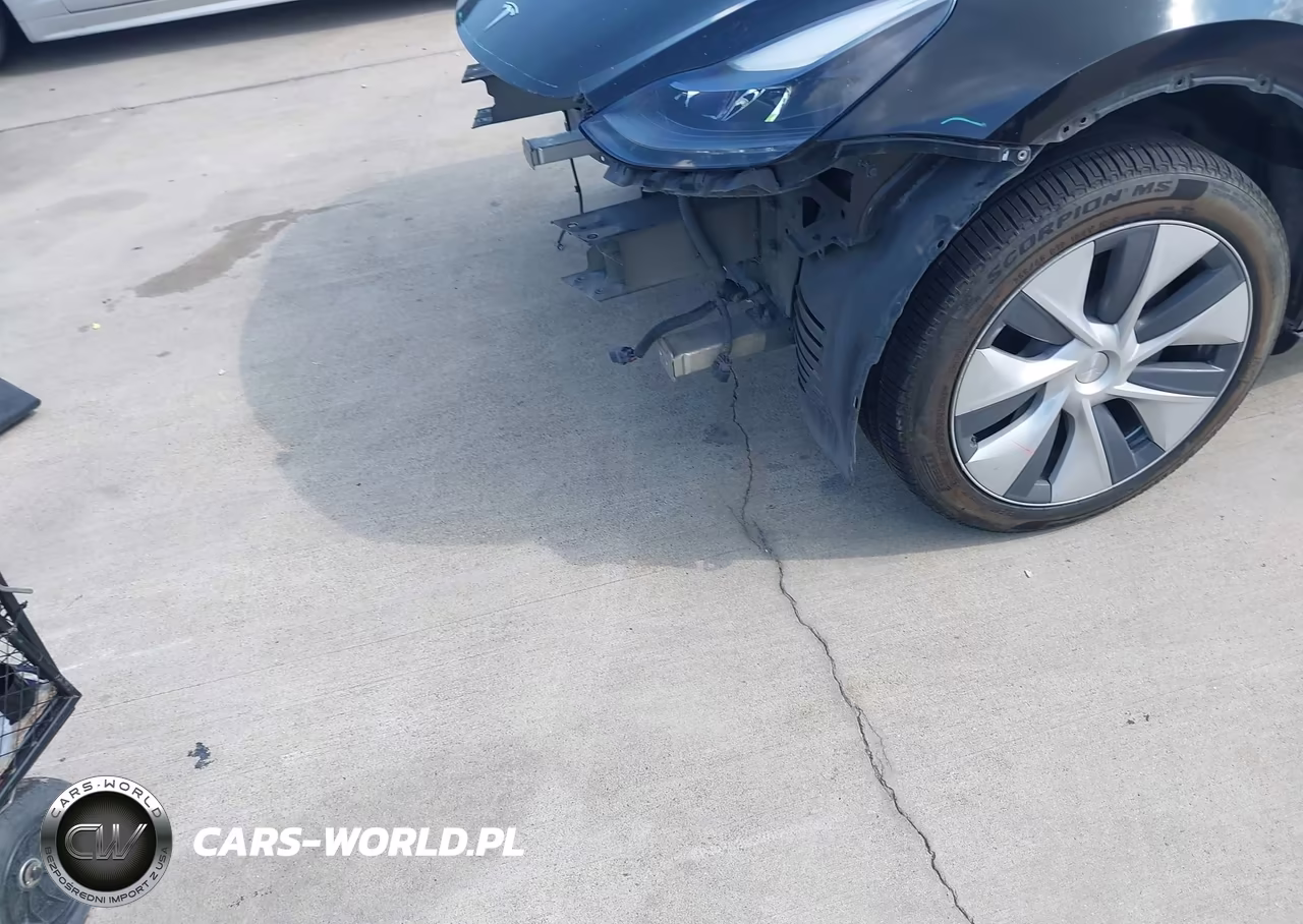 2024 Tesla Model Y Long Range Dual Motor All-Wheel Drive VIN:7SAYGDEE1RA253823 - 6