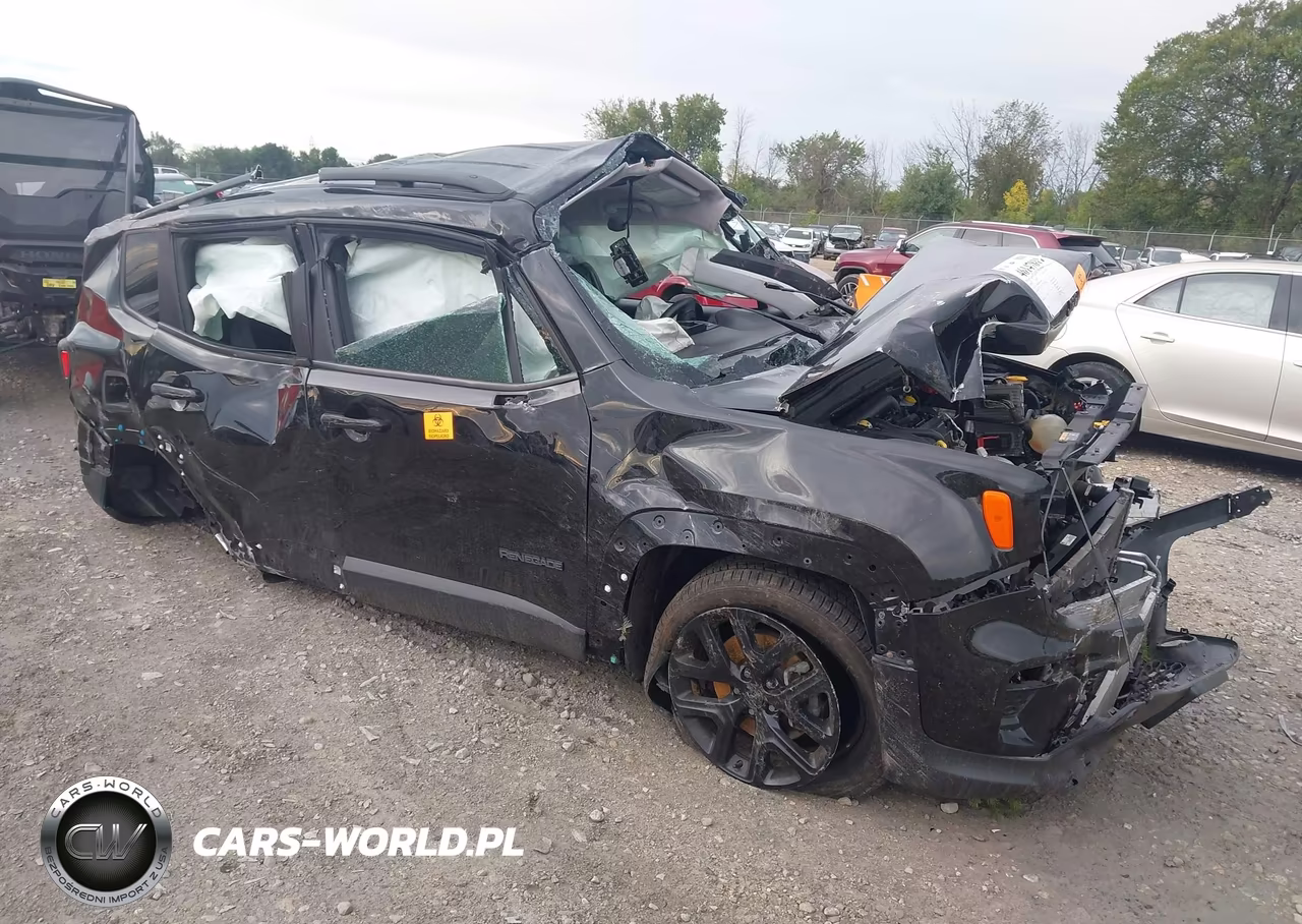 2019 Jeep Renegade Altitude 4X4 VIN:ZACNJBBB8KPJ87849 - 1