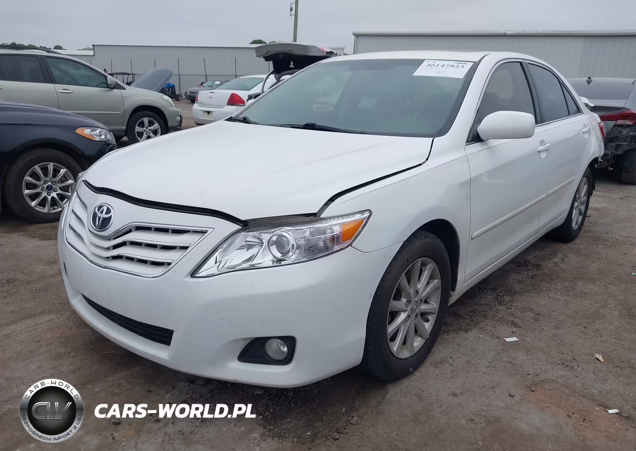 2010 Toyota Camry Xle VIN:JTNBF3EK3A3003585 - 2