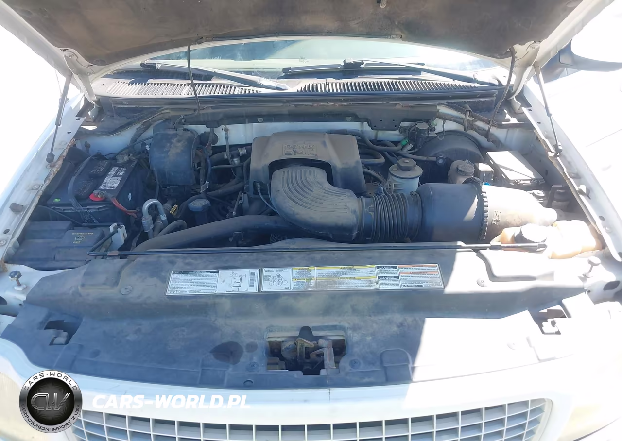 1999 Ford Expedition Eddie Bauer-Xlt VIN:1FMPU18L1XLB86613 - 10