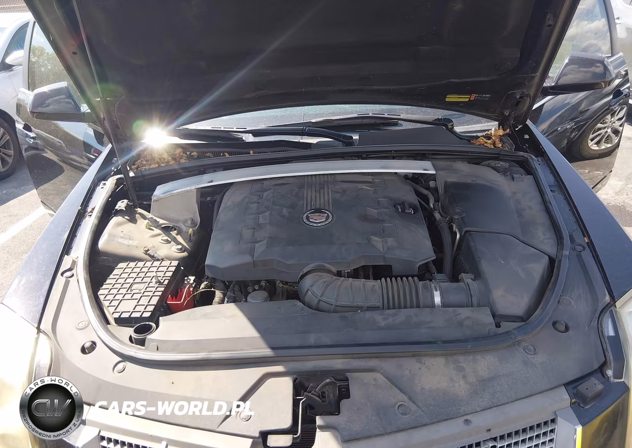 2010 Cadillac Cts Standard VIN:1G6DL5EV0A0104261 - 10