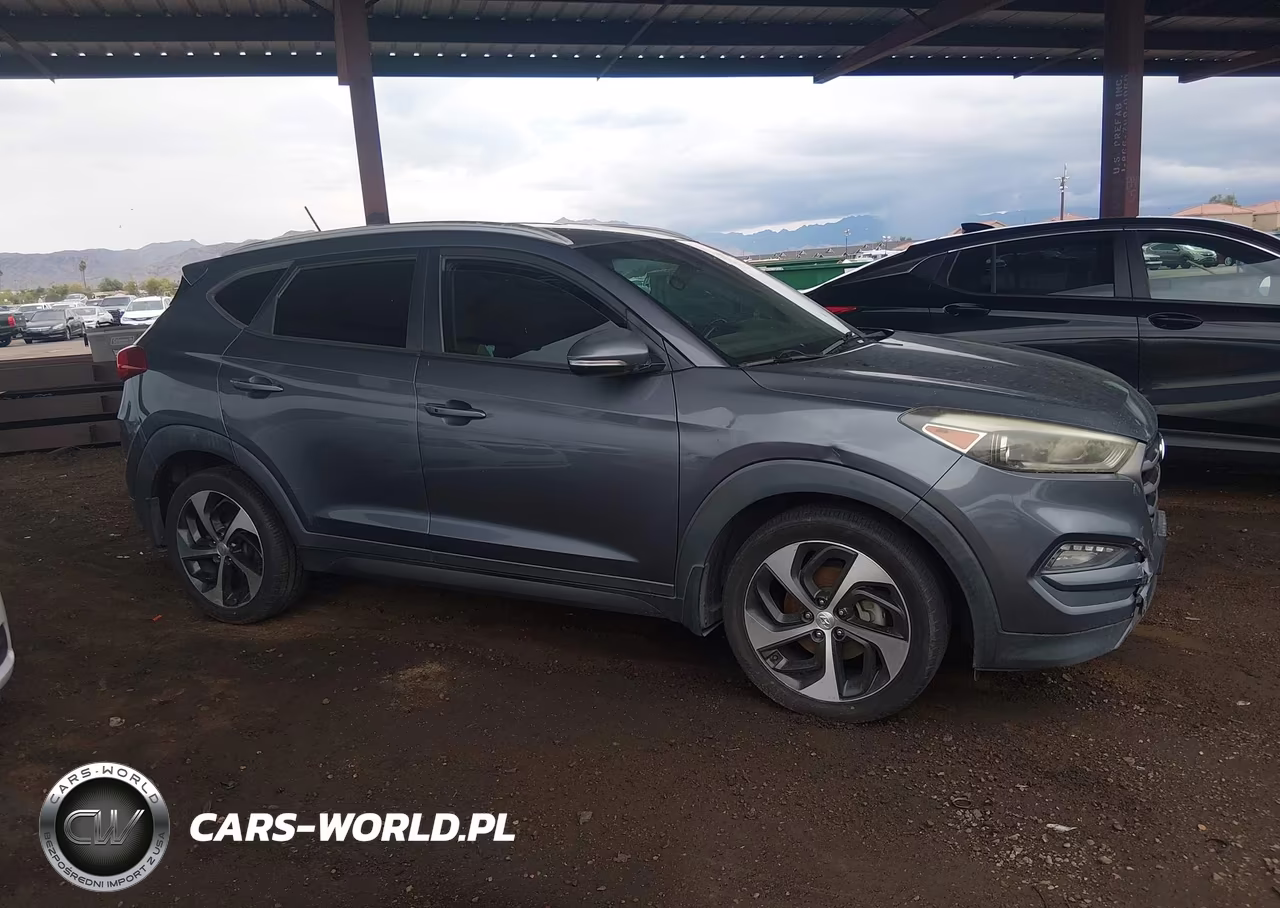 2016 Hyundai Tucson Sport VIN:KM8J3CA22GU129062 - 13