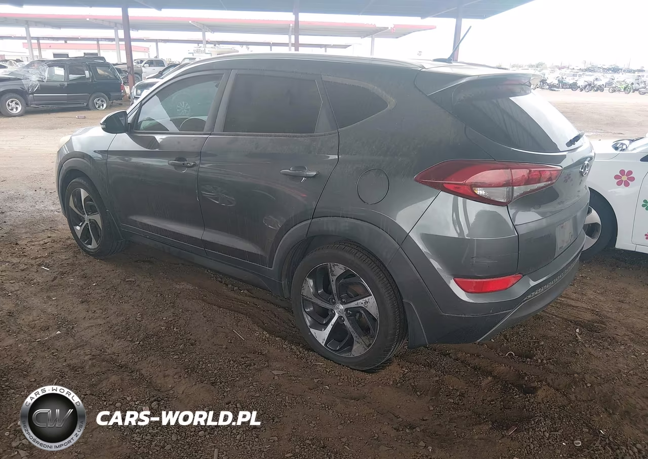2016 Hyundai Tucson Sport VIN:KM8J3CA22GU129062 - 3
