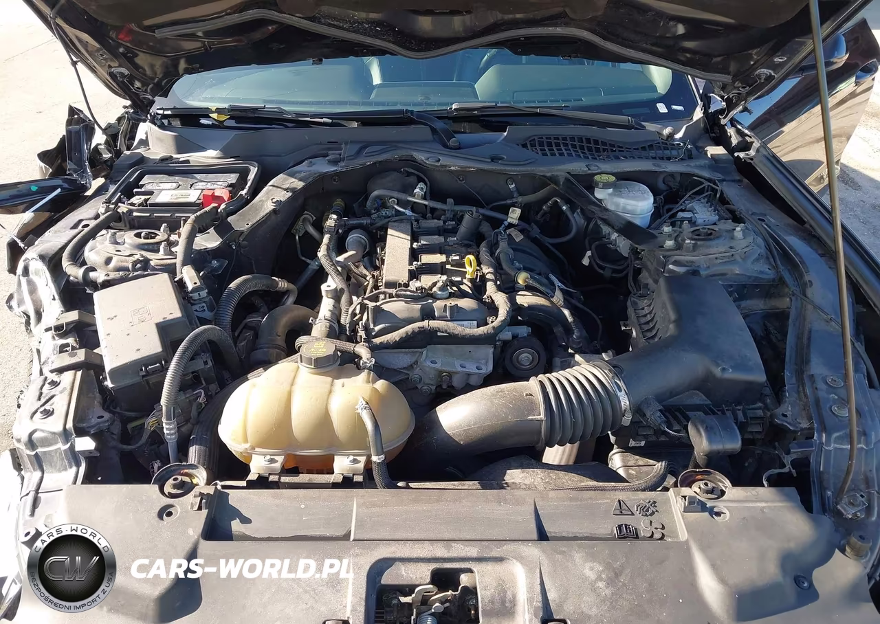 2022 Ford Mustang Ecoboost Premium VIN:1FATP8UH7N5104041 - 10