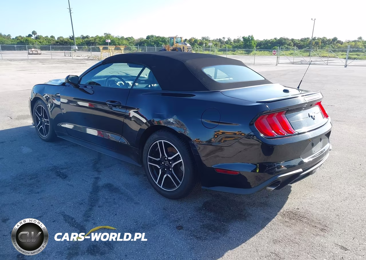 2022 Ford Mustang Ecoboost Premium VIN:1FATP8UH7N5104041 - 3