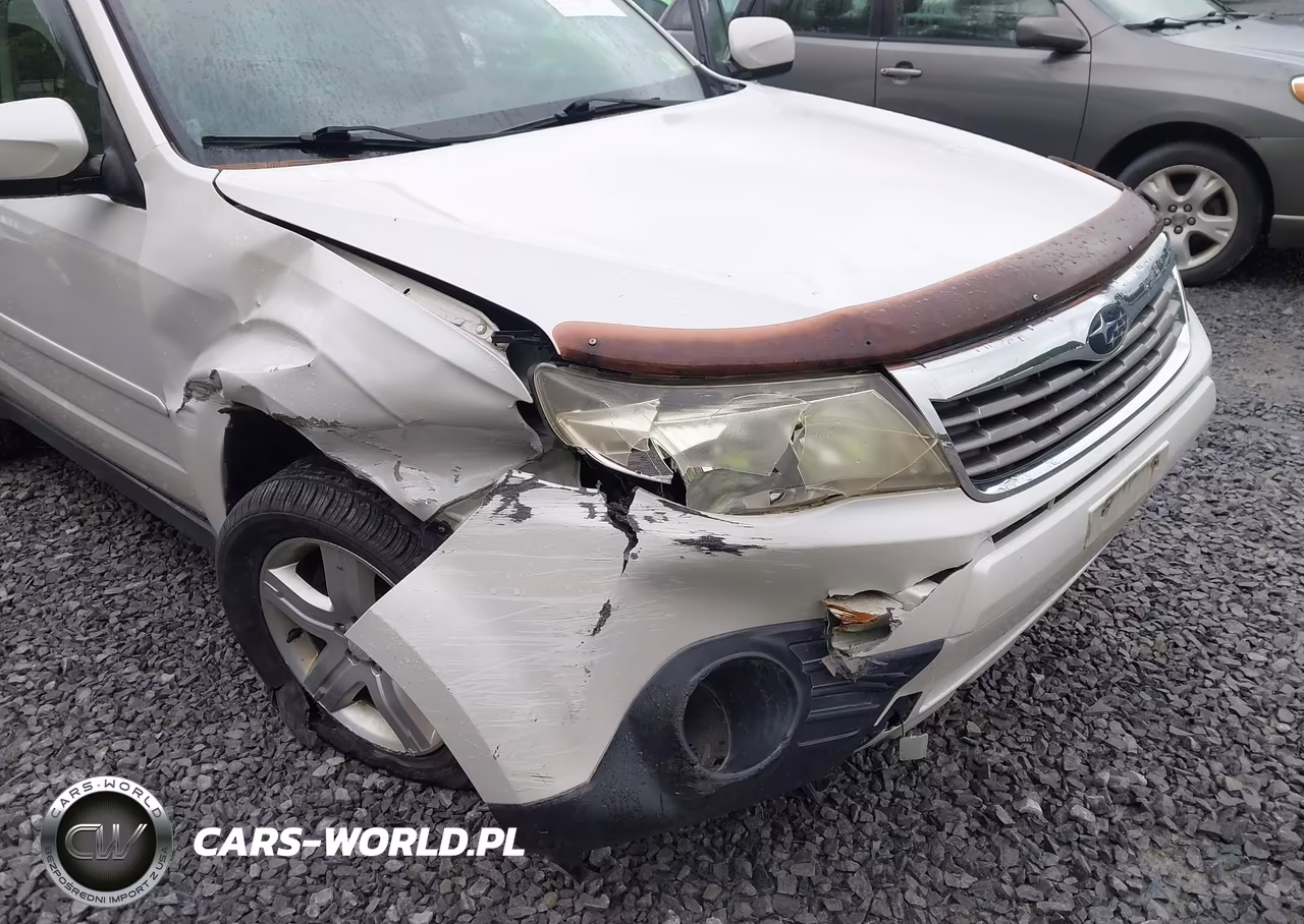 2010 Subaru Forester 2.5X Premium VIN:JF2SH6CC8AH902913 - 12