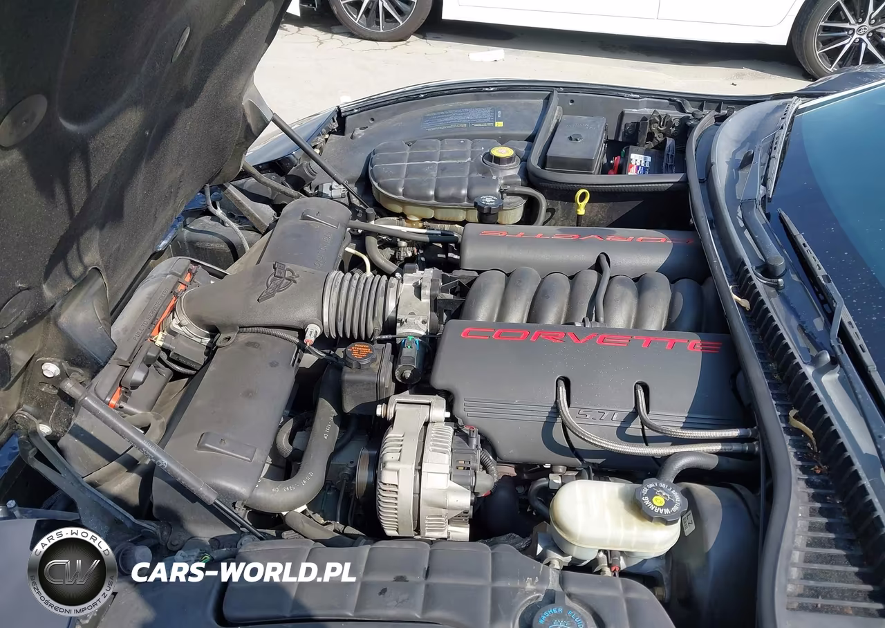 1998 Corvette Convertible VIN:1G1YY32G2W5122340 - 10