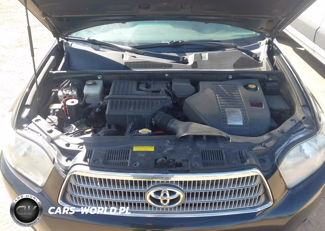 2009 Toyota Highlander Hybrid Limited VIN:JTEEW44A492035409 - 10