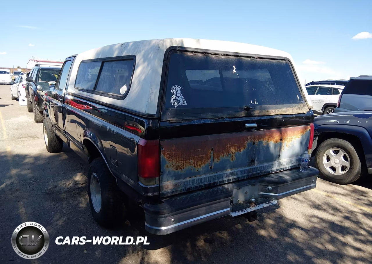 1989 Ford F150 VIN:1FTEF14Y7KNB76480 - 3