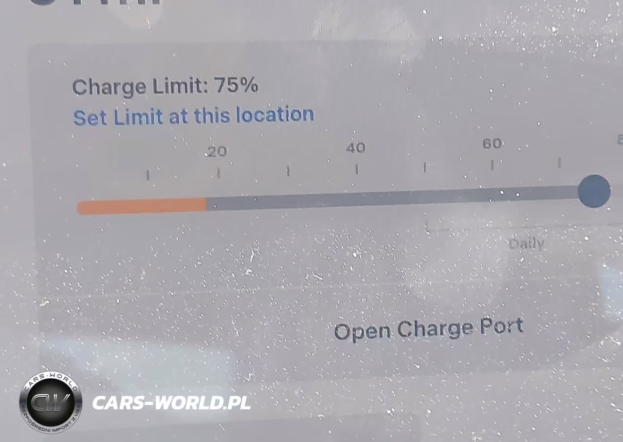 2024 Tesla Model Y Long Range Single Motor Rear-Wheel Drive-Rwd VIN:7SAYGDED1RF168894 - 16
