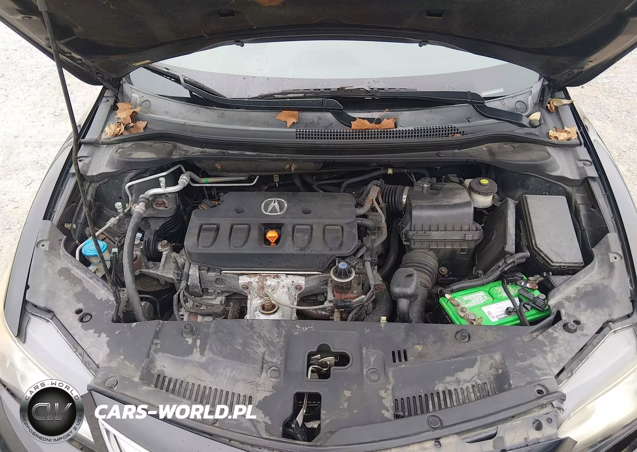 2014 Acura Ilx 2.0L VIN:19VDE1F31EE014362 - 10