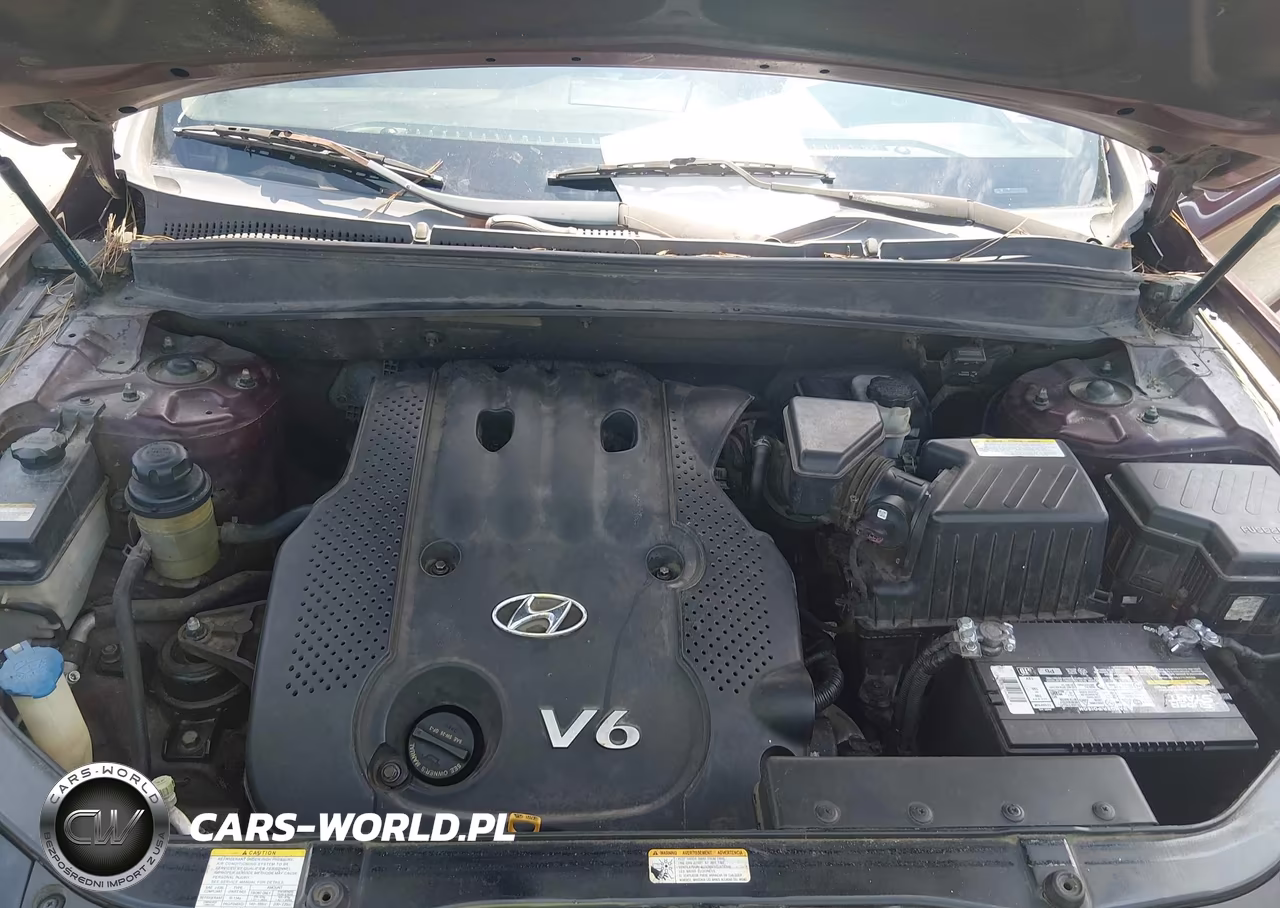 2008 Hyundai Santa Fe Gls VIN:5NMSG13D58H188339 - 10