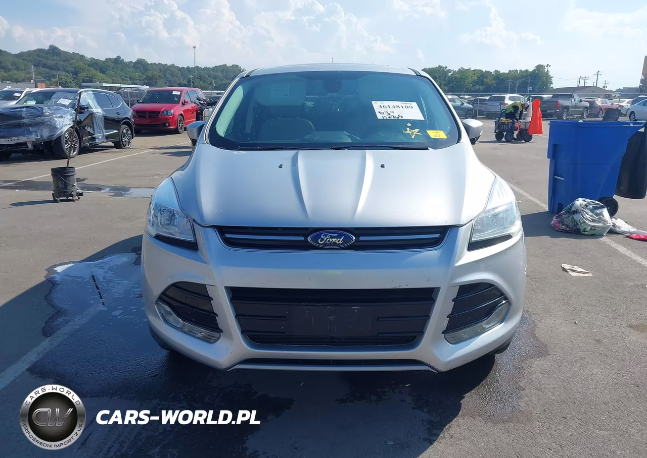 2013 Ford Escape Sel VIN:1FMCU0H94DUA25143 - 12