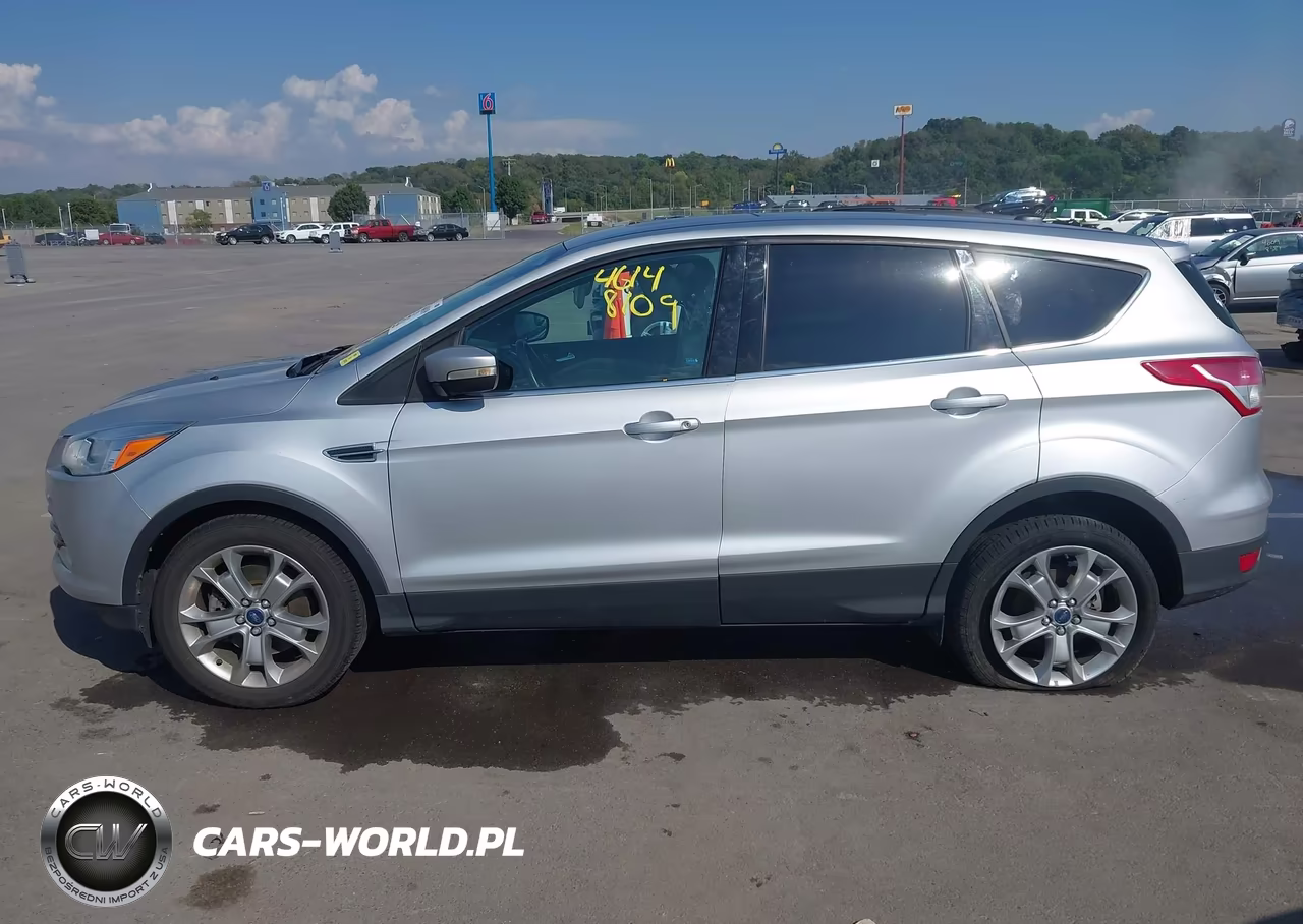 2013 Ford Escape Sel VIN:1FMCU0H94DUA25143 - 18