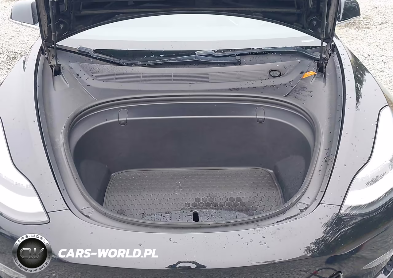 2019 Tesla Model 3 Long Range-Mid Range-Standard Range-Standard Range Plus VIN:5YJ3E1EA7KF395854 - 10