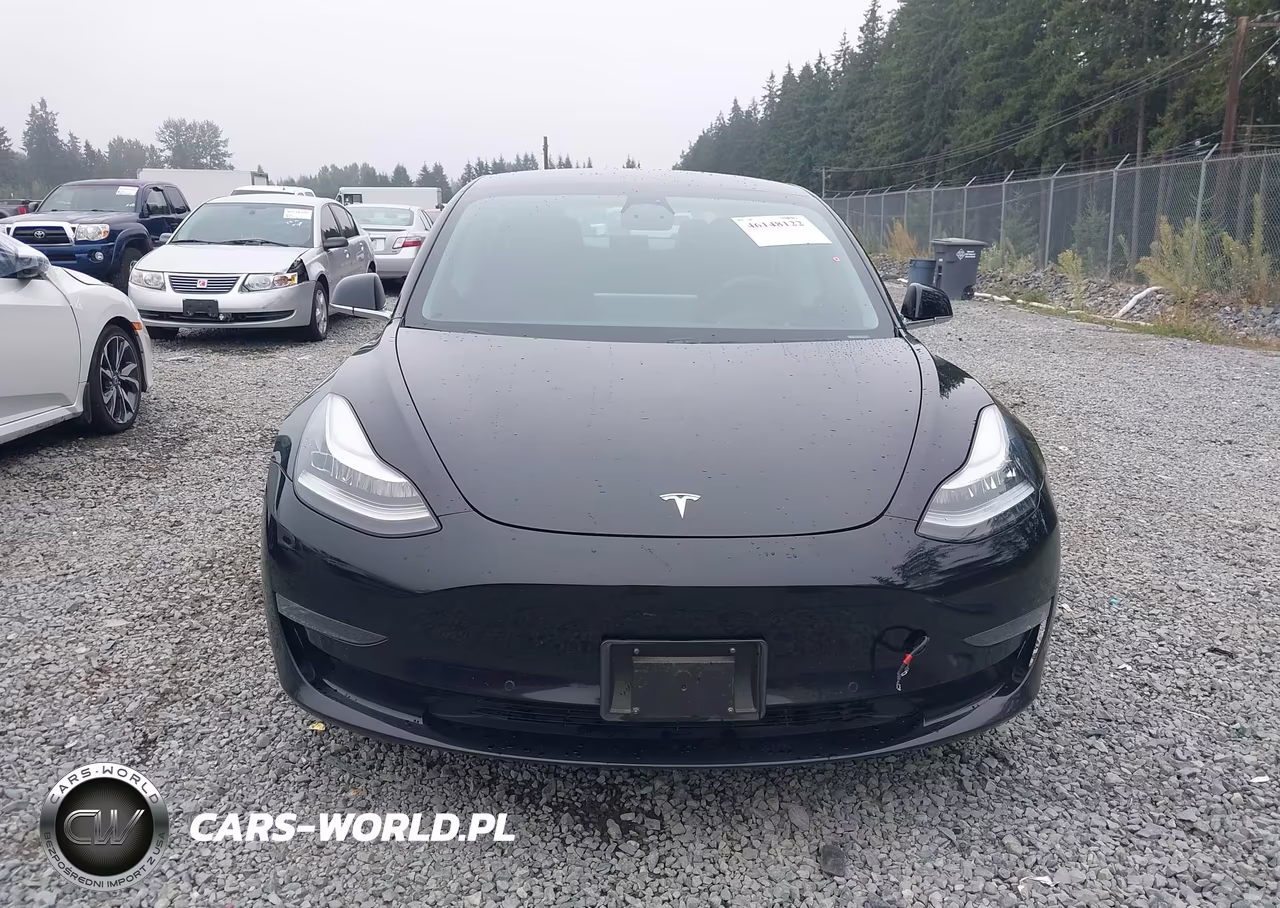 2019 Tesla Model 3 Long Range-Mid Range-Standard Range-Standard Range Plus VIN:5YJ3E1EA7KF395854 - 12