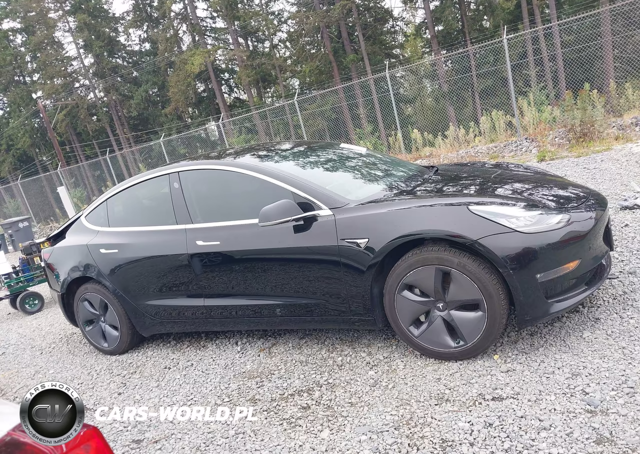 2019 Tesla Model 3 Long Range-Mid Range-Standard Range-Standard Range Plus VIN:5YJ3E1EA7KF395854 - 13